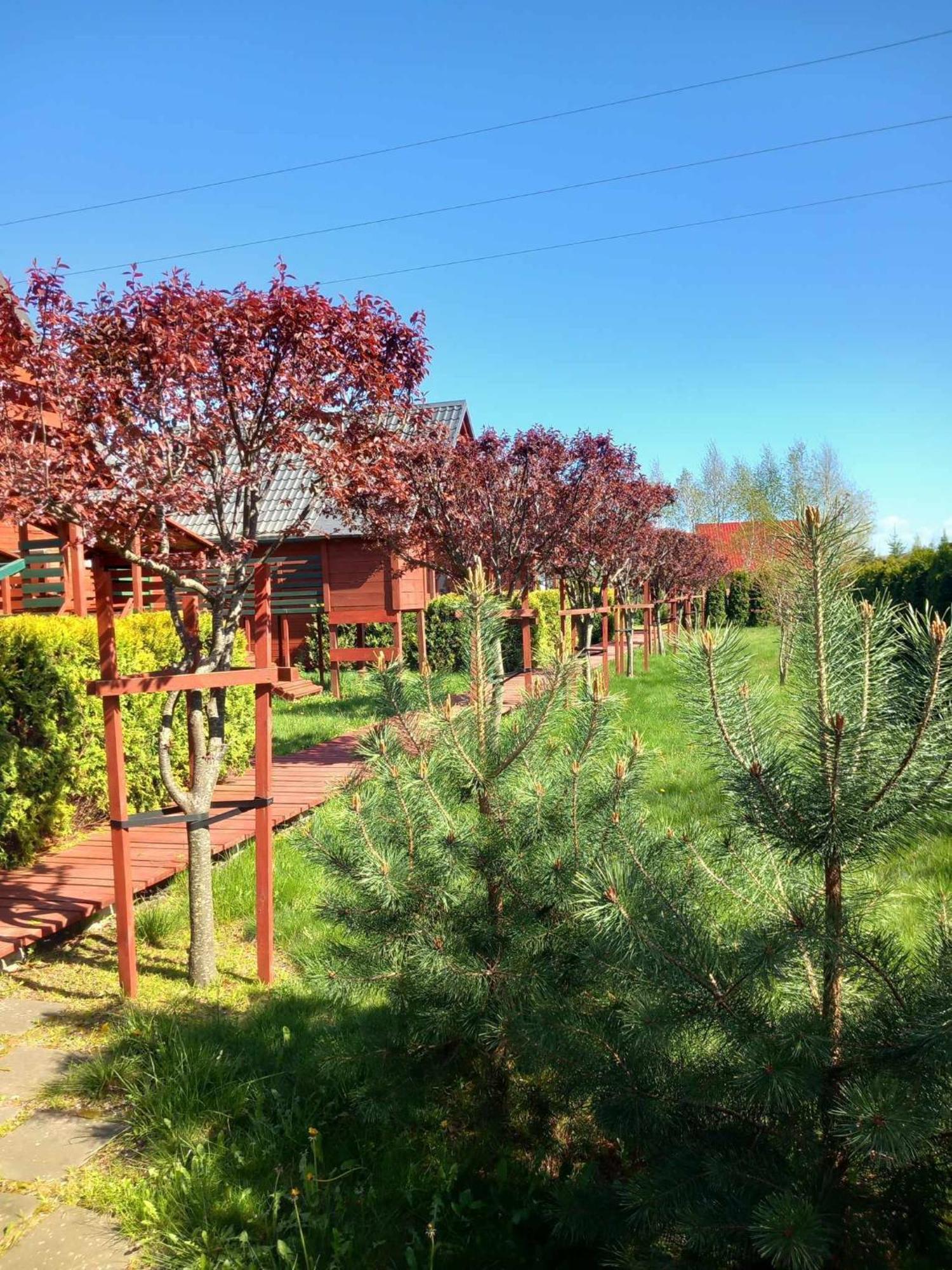 Mandarynka Ow Jarosławiec Exterior foto